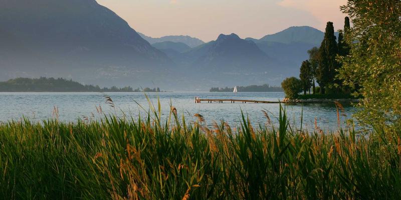 亚联美诺智库：品牌策划与内容营销的协同效应，如何构建1+1>2的品牌战略