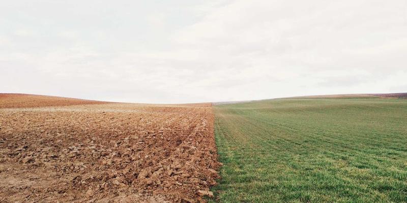 品牌声音策略全解析：亚联美诺智库教你构建独特语调与音频标识