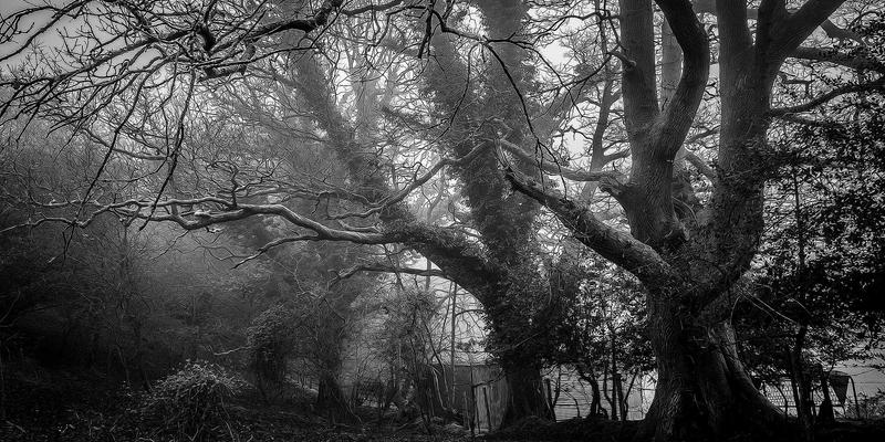 品牌年轻化转型：亚联美诺智库解析传统品牌如何与Z世代有效对话