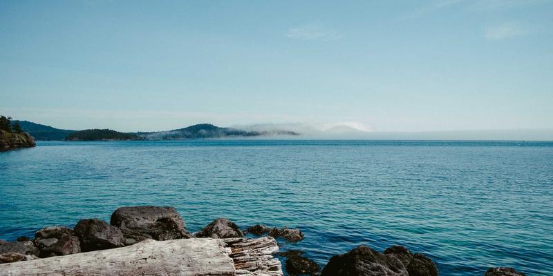 品牌延伸风险评估：亚联美诺智库解析新产品线如何不稀释核心品牌价值