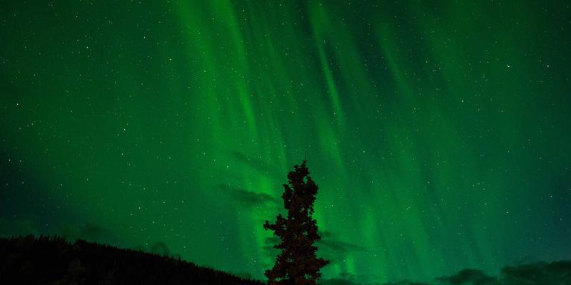 品牌策划70：如何通过营销咨询与市场推广实现品牌跃升