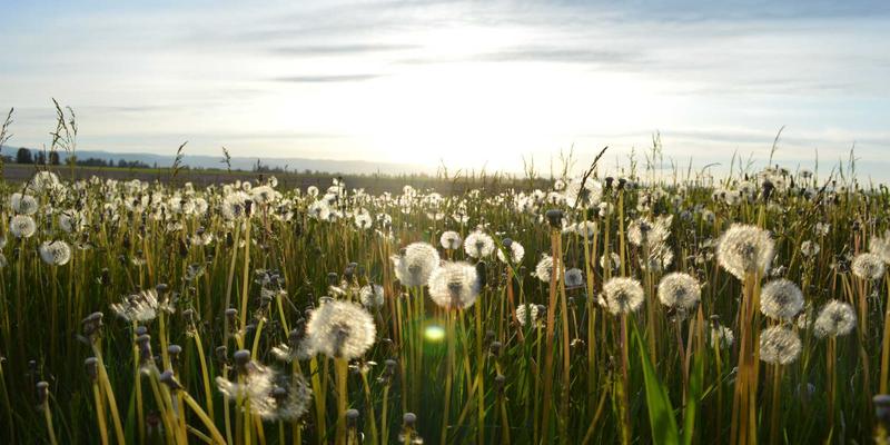 品牌策划72法则：亚联美诺智库解码市场推广的底层逻辑