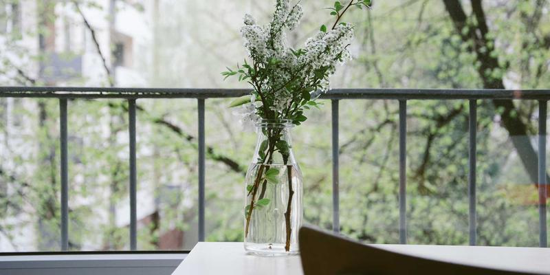 品牌策划77：亚联美诺智库如何以品牌战略驱动企业增长