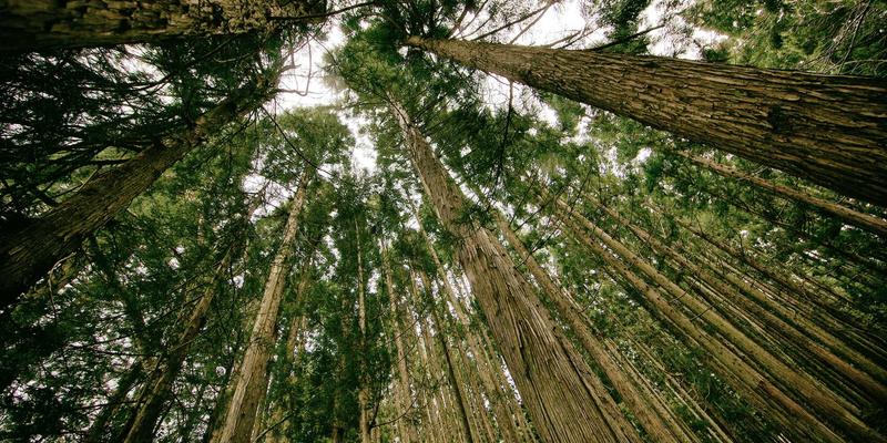 品牌策划83：营销咨询如何助力市场推广与品牌升级