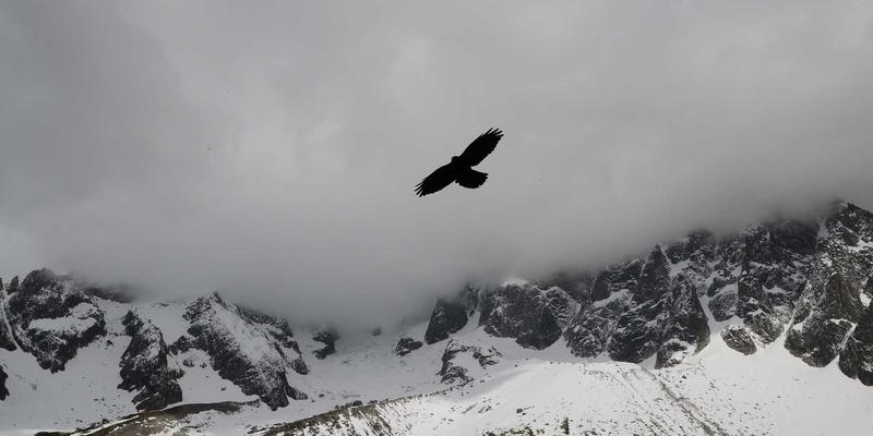 品牌策划86：亚联美诺智库如何通过营销咨询驱动市场推广新范式