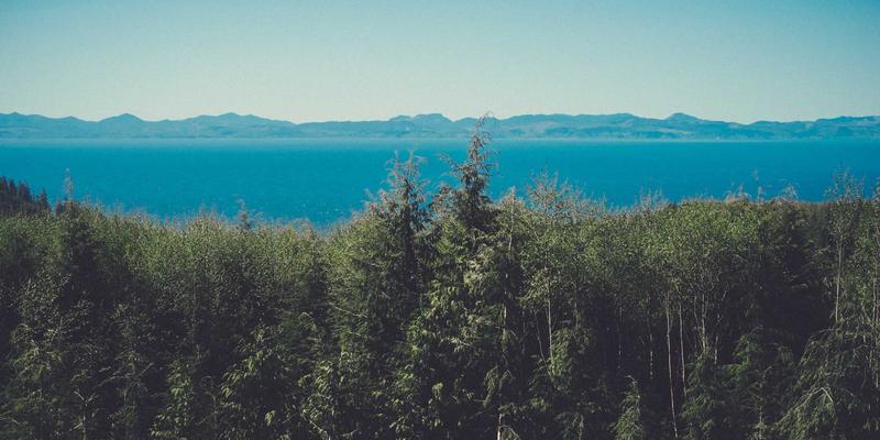 品牌策划95:解码市场推广与品牌战略的协同之道——亚联美诺智库的实践启示