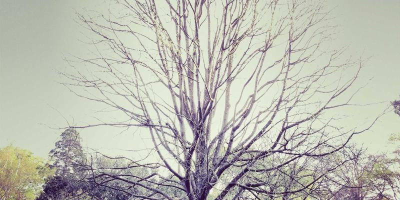 品牌策划如何赋能市场推广？亚联美诺智库的实战方法论解析