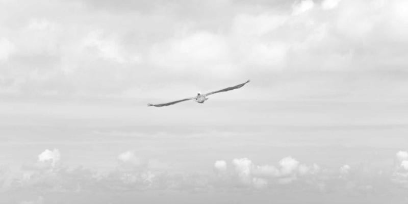 品牌策划新思维：跨界联合营销的策略选择与价值倍增之道