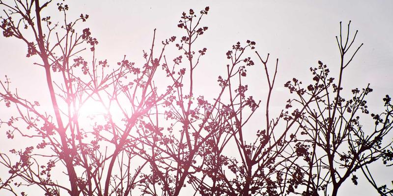 品牌联合（Co-branding）的策划与执行：专业营销咨询如何实现1+1>2的市场推广奇迹