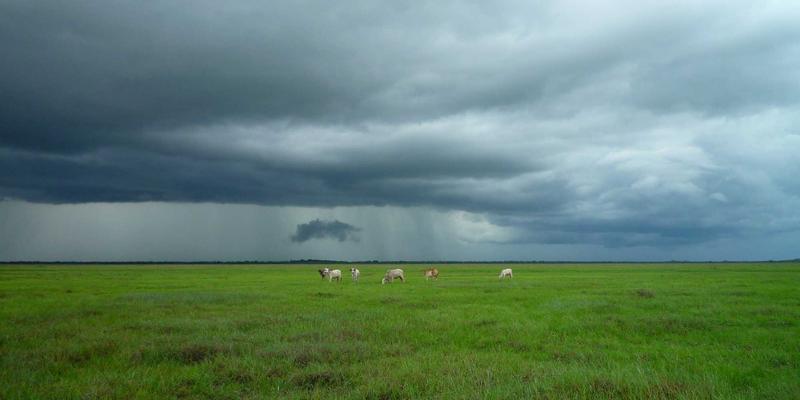 奢侈品品牌策划：稀缺性、传承与当代价值的平衡艺术
