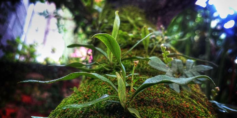 营销咨询解密：亚联美诺智库谈品牌溢价策略如何通过价值传递赢得市场